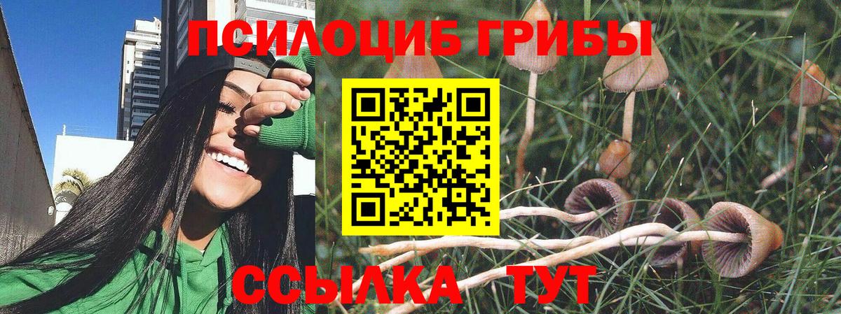 Галлюциногенные грибы Cubensis  Вход с VPN  Чебоксары 
